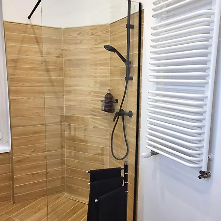 Apartament Lux Centrum * Gliwice